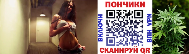 Шишки марихуана план  Олонец 